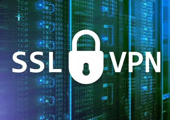 SSL VPN ve SSO Uygulamaları